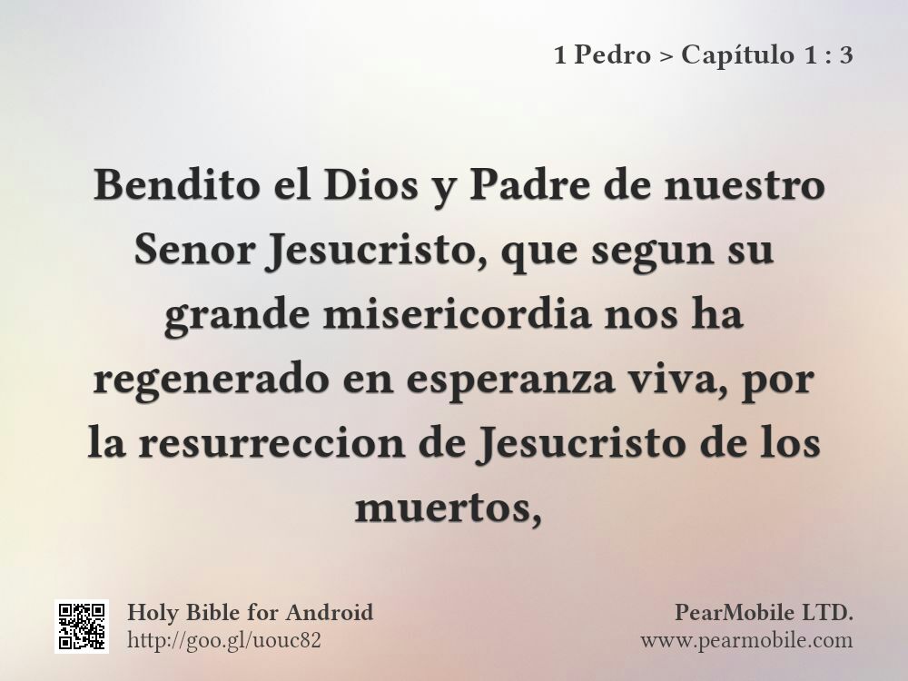 1 Pedro, Capítulo 1:3